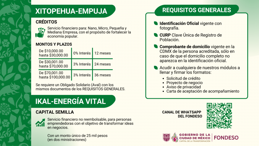 FINANCIAMIENTOS REEMBOLSABLES Y NO REEMBOLSABLES